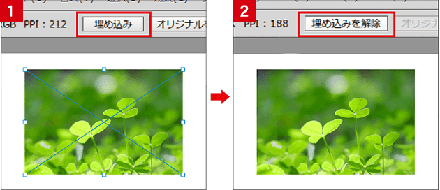 画像の埋め込み