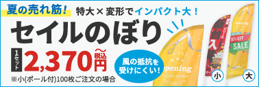 セイルのぼりはこちら