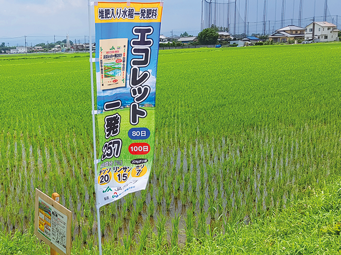 エコレット一発275のぼり