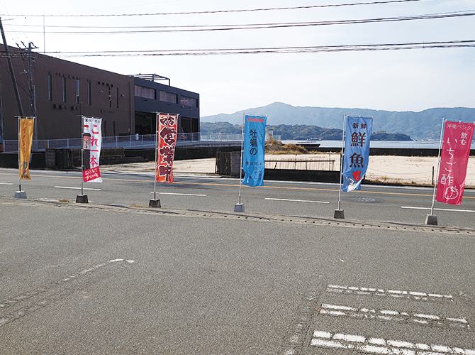 よってみん菜 江田島のぼり