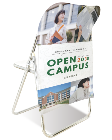 椅子カバーのデザイン例4