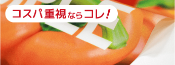 テトロンポンジ