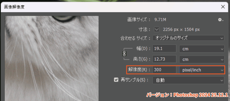 Photoshopで解像度を確認する方法2