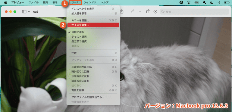 Macで解像度を確認する方法1