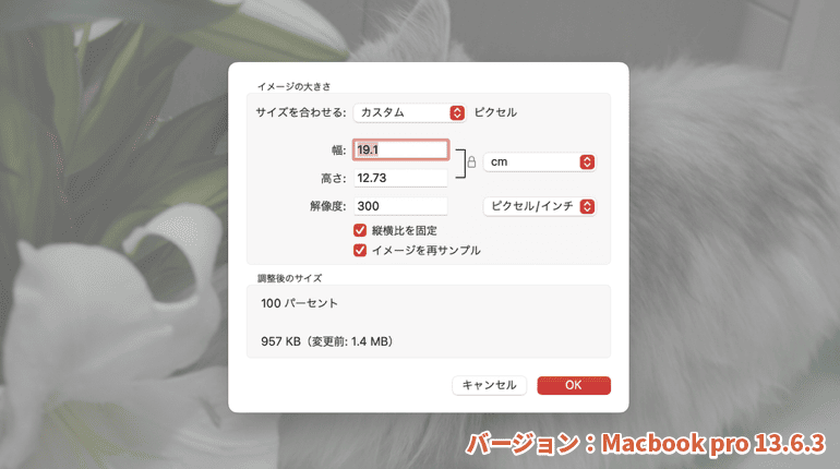 Macで解像度を確認する方法2