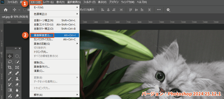 画像解像度をPhotoshopで変更する方法1