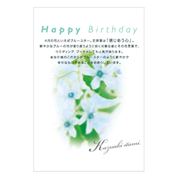 4月（ブルースター）