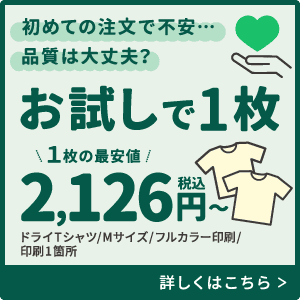 お試しで1枚注文