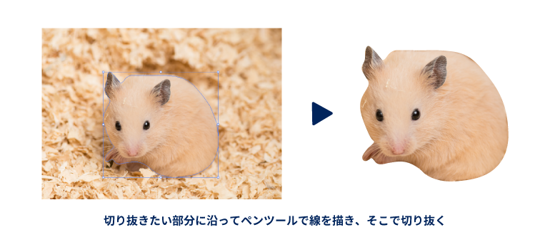 ペンツールで画像の特定の範囲をなぞって切り抜いた例