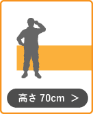 トロピカル高さ70cm