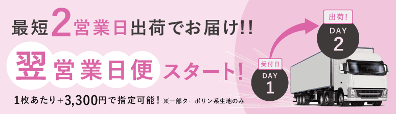 翌営業日便スタート