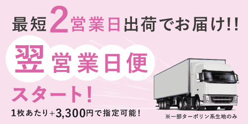 翌営業日便スタート