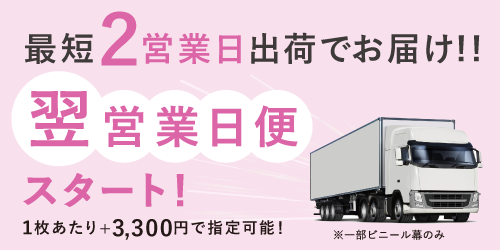 翌営業日便スタート