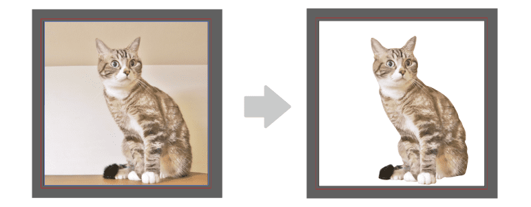 ペンツールを使ってくり抜いた猫の写真