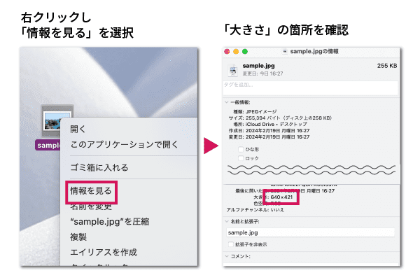 情報を見るからサイズを確認する